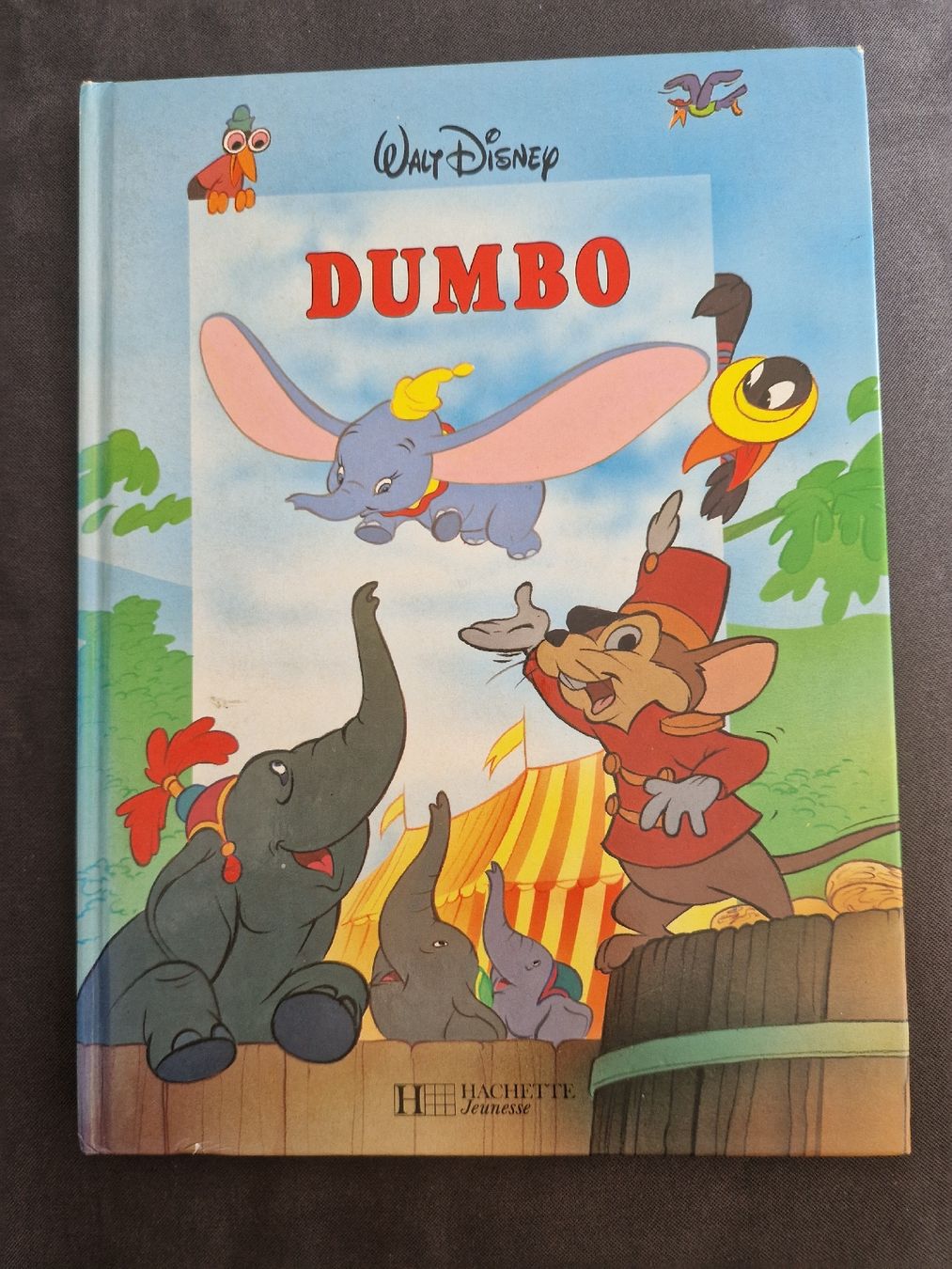 Libri: Dumbo - Walt Disney – Usato da Villars-sur-Glâne venduto da Agnie80