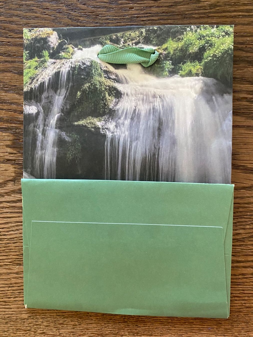Carta: Geschenktüte Neu – Nuovo (secondo la descrizione) da Riedholz venduto da lenibeni03 1