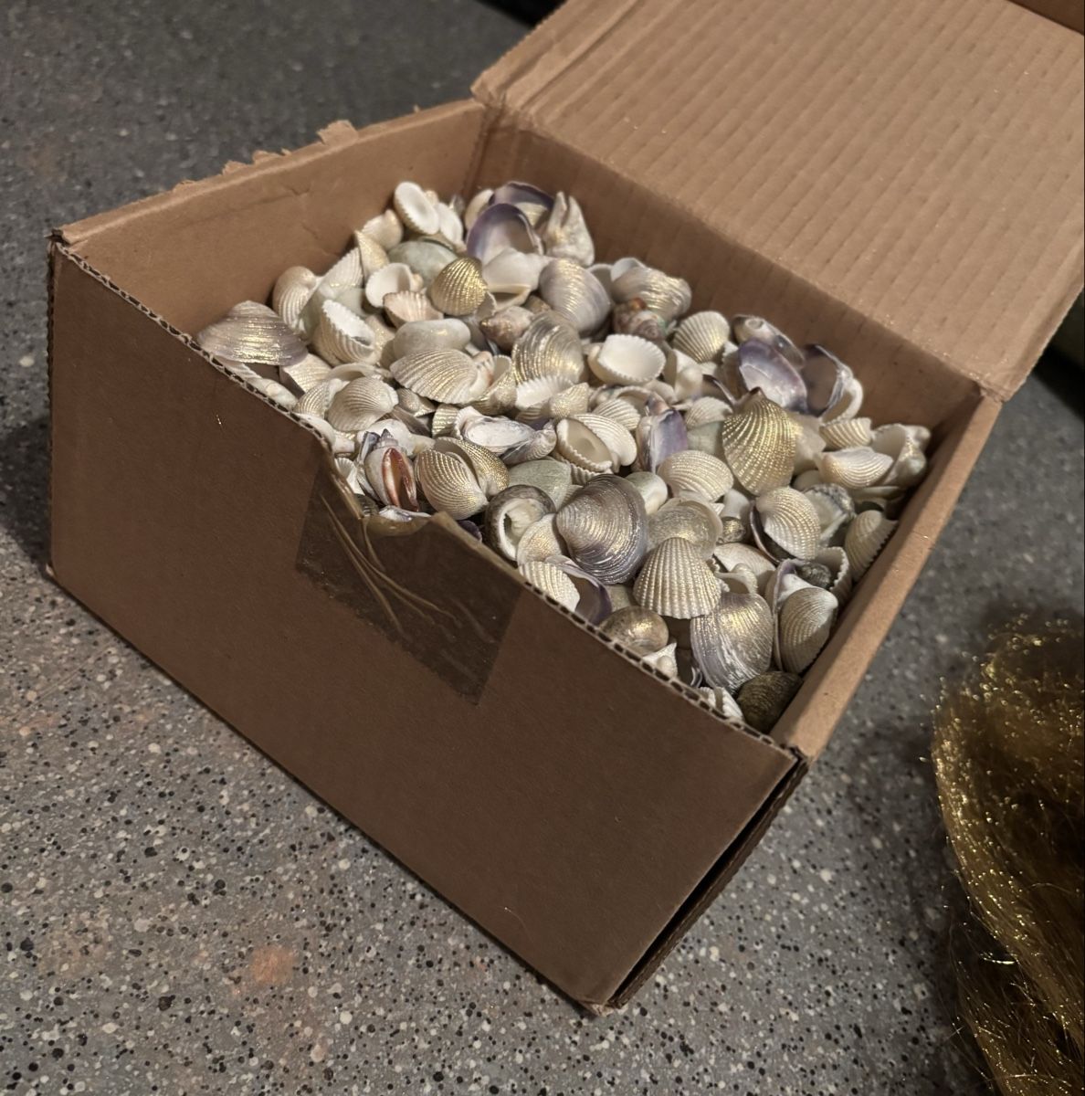 Tutte le decorazioni: Muscheln im Karton, zum Dekorieren, Basteln oder Sammeln – Usato da Urdorf venduto da leoale 3
