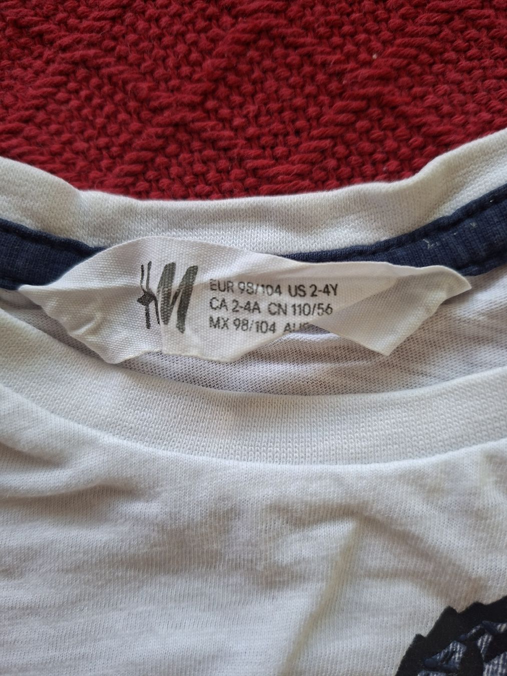 H&M Camicie, T-shirt & Polo: T-Shirt Gr. 98 / 104 – Usato da Balterswil venduto da Steineparadies 2