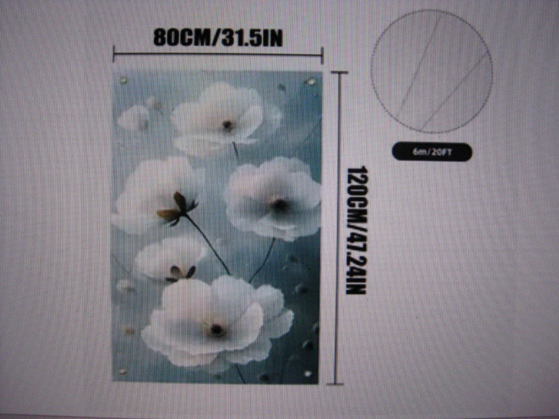 Poster & Bilder: Poster/Blumenbild, Masse: 80x120cm NEU – Neu und originalverpackt aus Steinmaur von Daka36