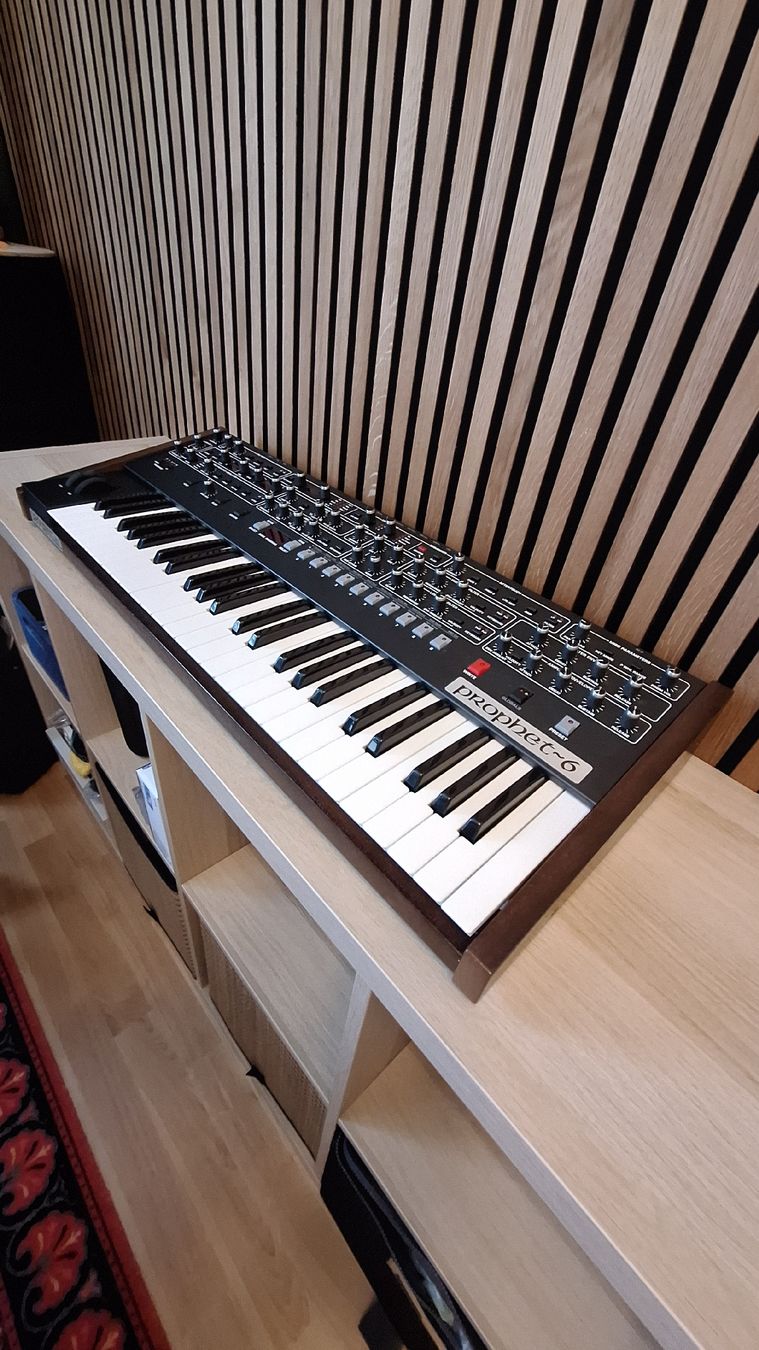 Sequential Musikinstrumente: Sequential Prophet 6 Synthesizer – Gebraucht aus Zürich von simon_h91 1