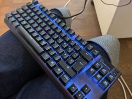Steelseries Apex Pro & Samsung Odyssey G6 Monitor 32 Zoll