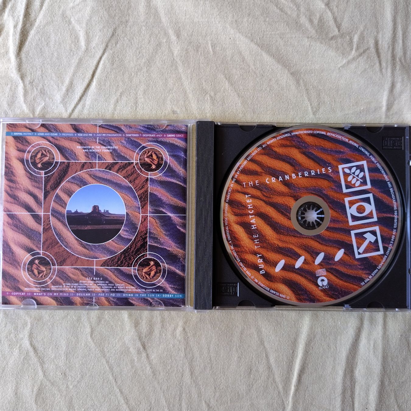 CD: CD von The Cranberries – Usato da Buchs venduto da mdi_mpx5 1
