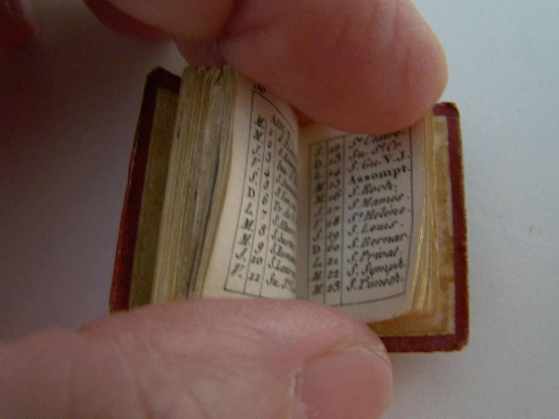 Bücher: Kleines Buch Maroquin Leder, Goldschnitt – Gebraucht aus Näfels von gil_sindamel 6