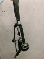 Halfter grösse WB mit passendem Strick