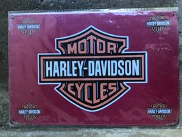 Motor Harley Davidson cycles v2 usa classic