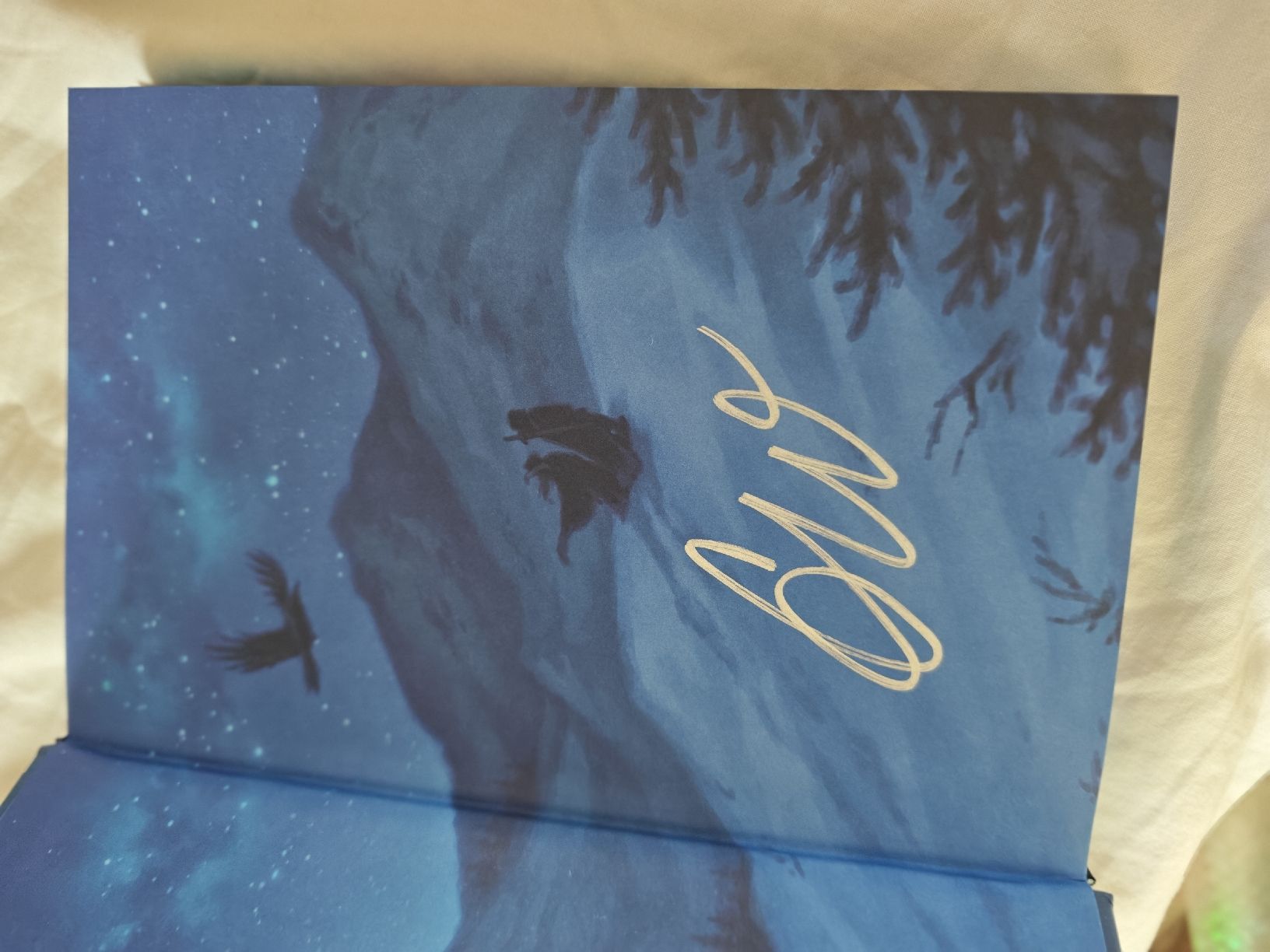 Libri: Arcane Society Witch Collector Duology – Nuovo (secondo la descrizione) da Grandvaux venduto da Freezemoon 5