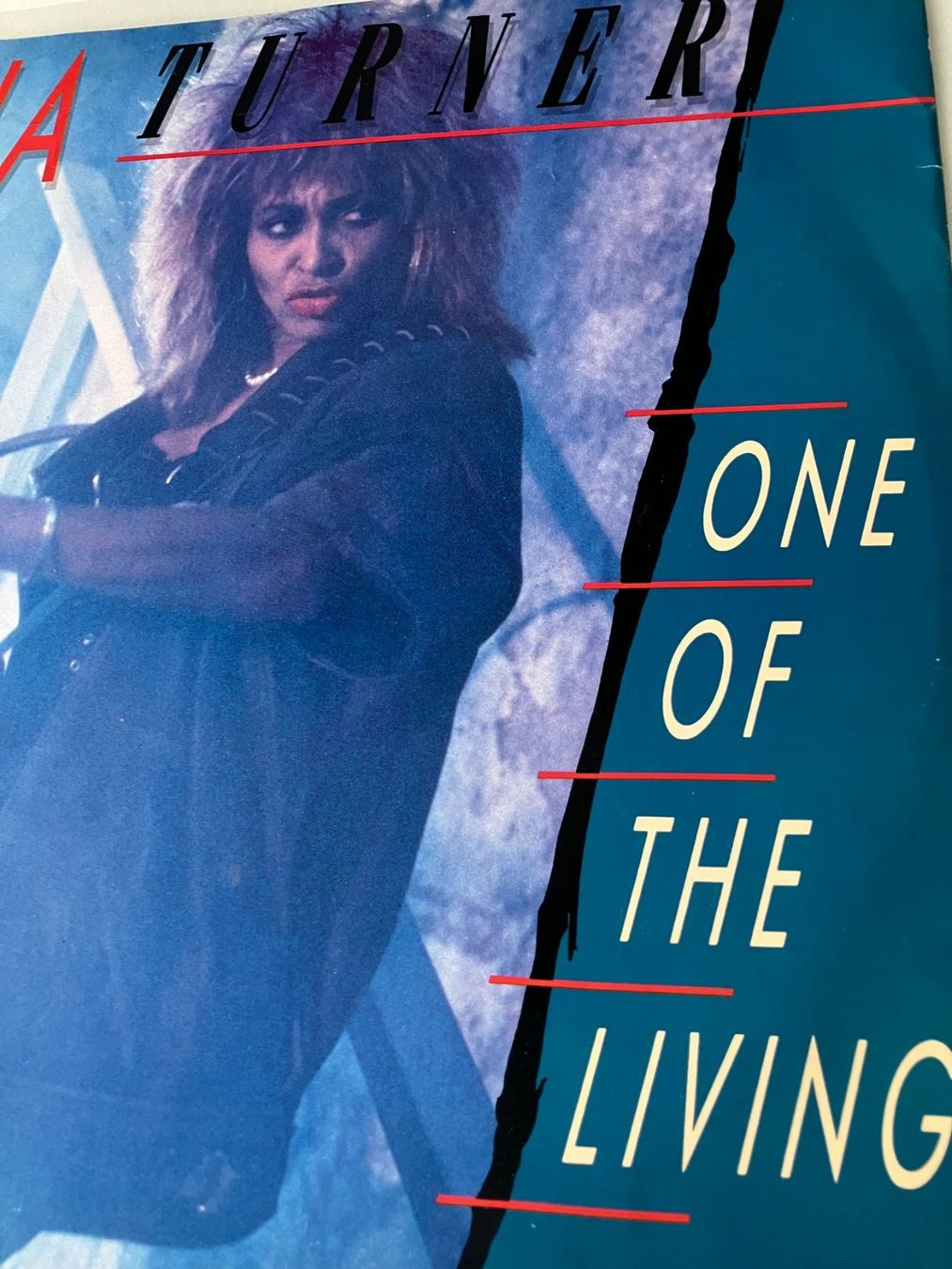 Dischi in vinile: Tina Turner – Usato da Aarwangen venduto da Jukebox3 2