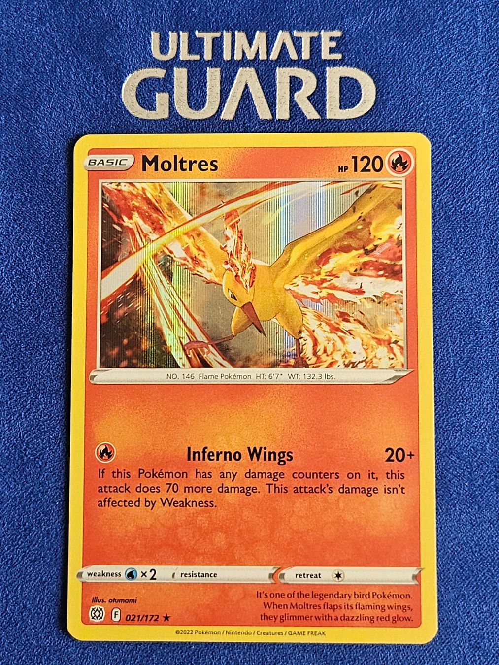 Pokémon Carte collezionabili: Pokemon TCG - Moltres EN Holo – Nuovo (secondo la descrizione) da Lyss venduto da DeaDiLuna