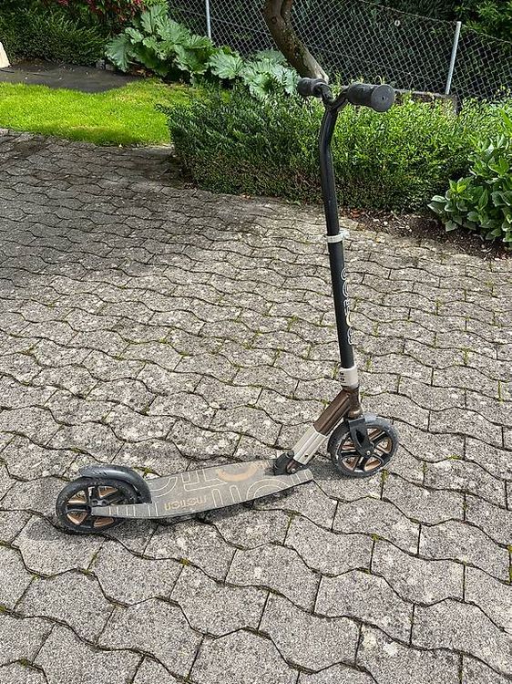 Kickboard Motion (Gebraucht) in Oberuzwil für CHF 40 – nur Abholung auf ...