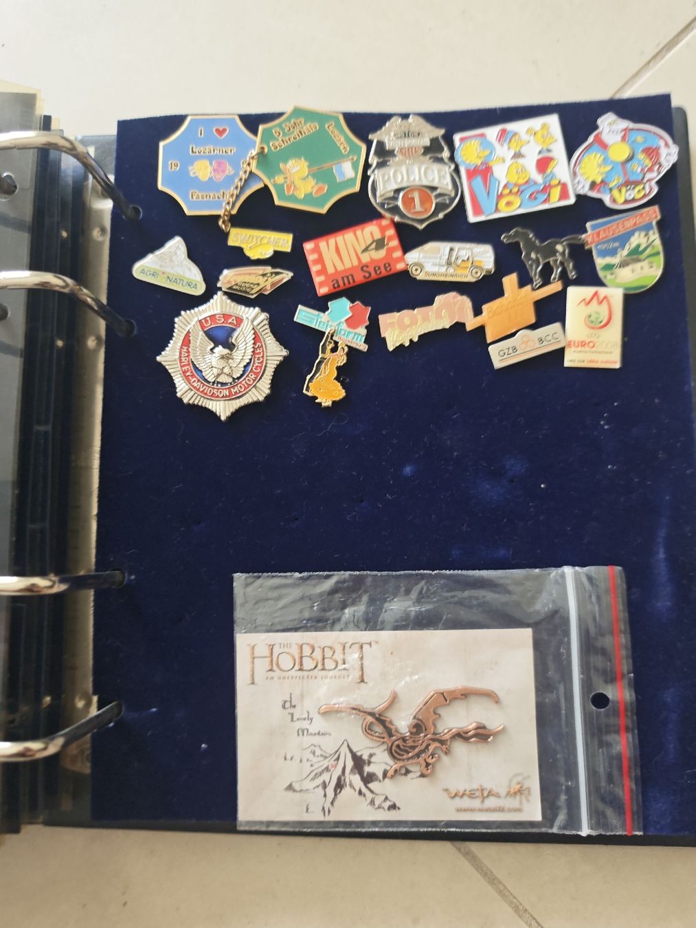 Placchette & Badge: Grosse Pin/Anstecknadel Sammlung – Usato da Seengen venduto da Highbornhorizon 8