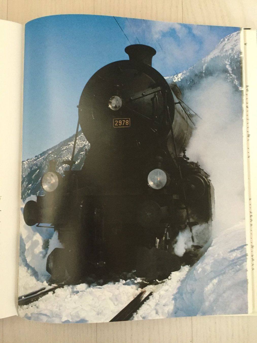 Libri: Die Bahn durch den Gotthard – Usato da Volketswil venduto da zwitsch33 1