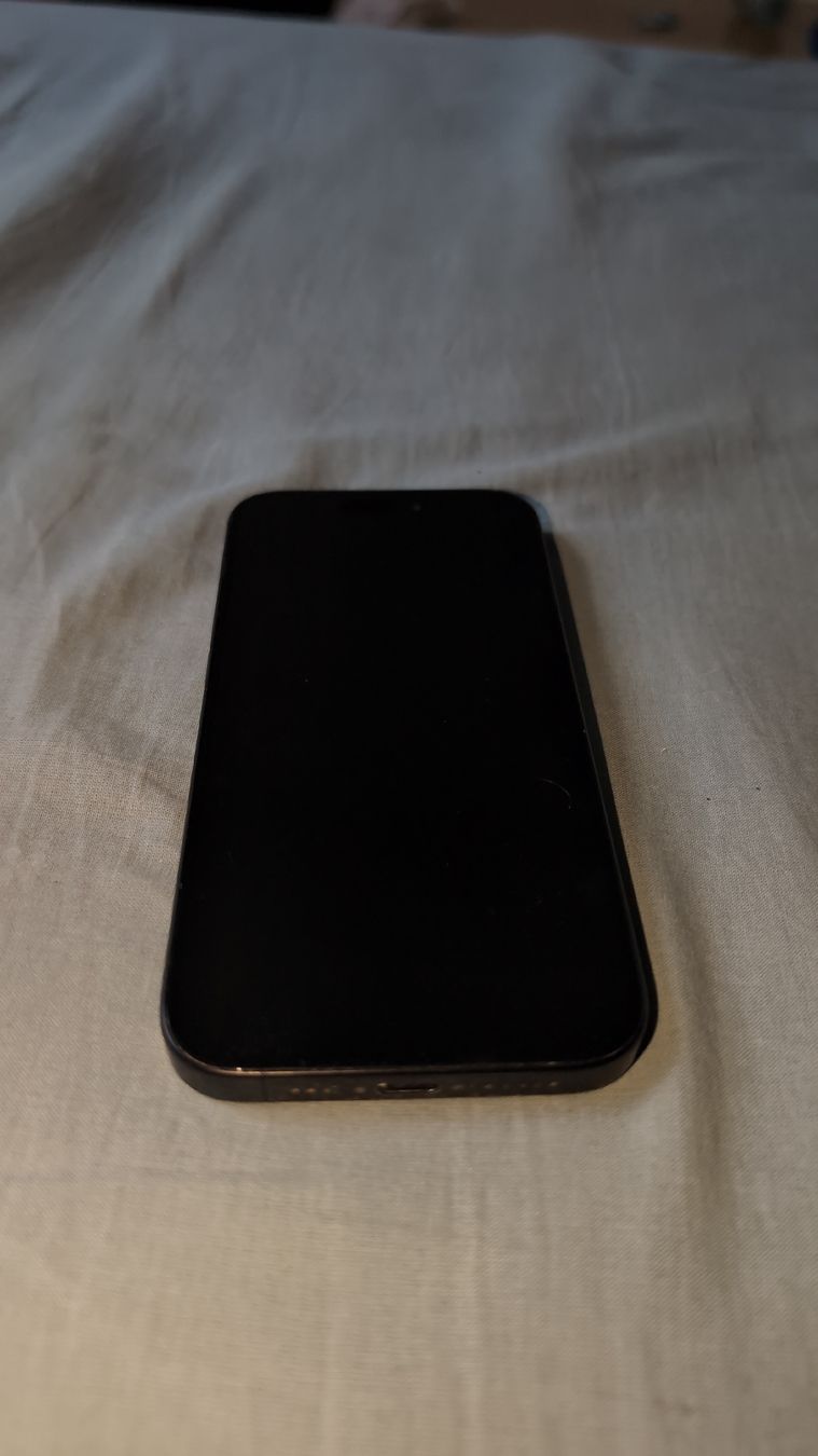 Apple Telefoni cellulari / Smartphones: Apple iPhone 15 Pro 256GB Space Black – Usato da Oltingen venduto da gys_2yjc 2