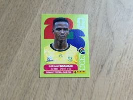 WM 2026 Panini – Khulumani Ndamane (RSA 7)