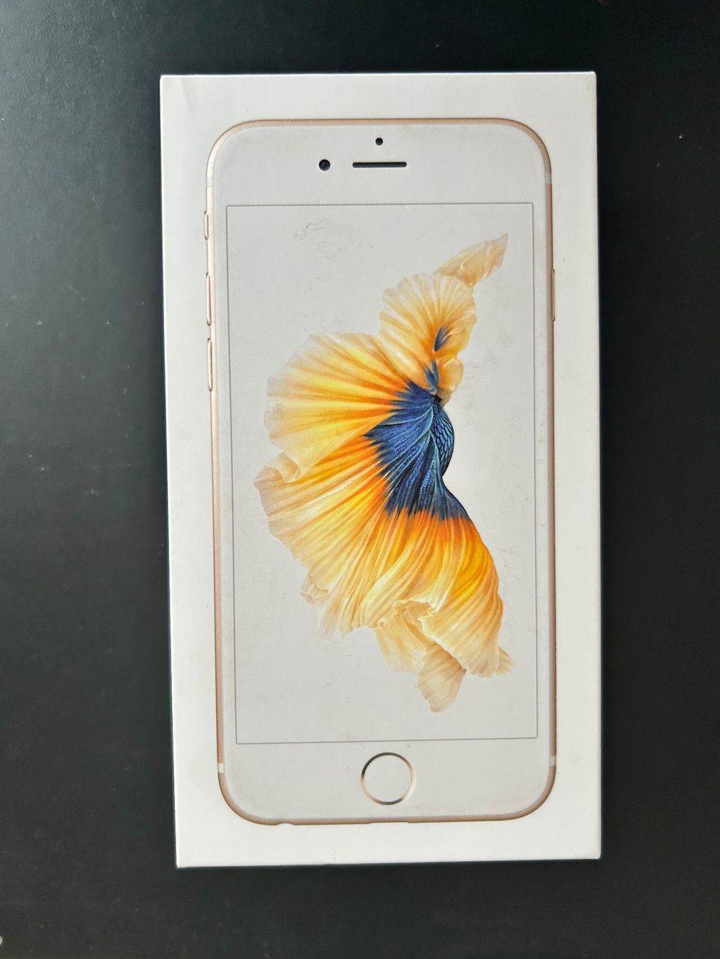 Apple Telefoni cellulari / Smartphones: iPhone 6S 16 GB Farbe Gold – Usato da Luzern venduto da Gundi62 1