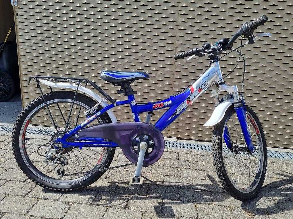 Biciclette: Kindervelo BelVelo 20'' – Usato da Schüpfheim venduto da swissfries