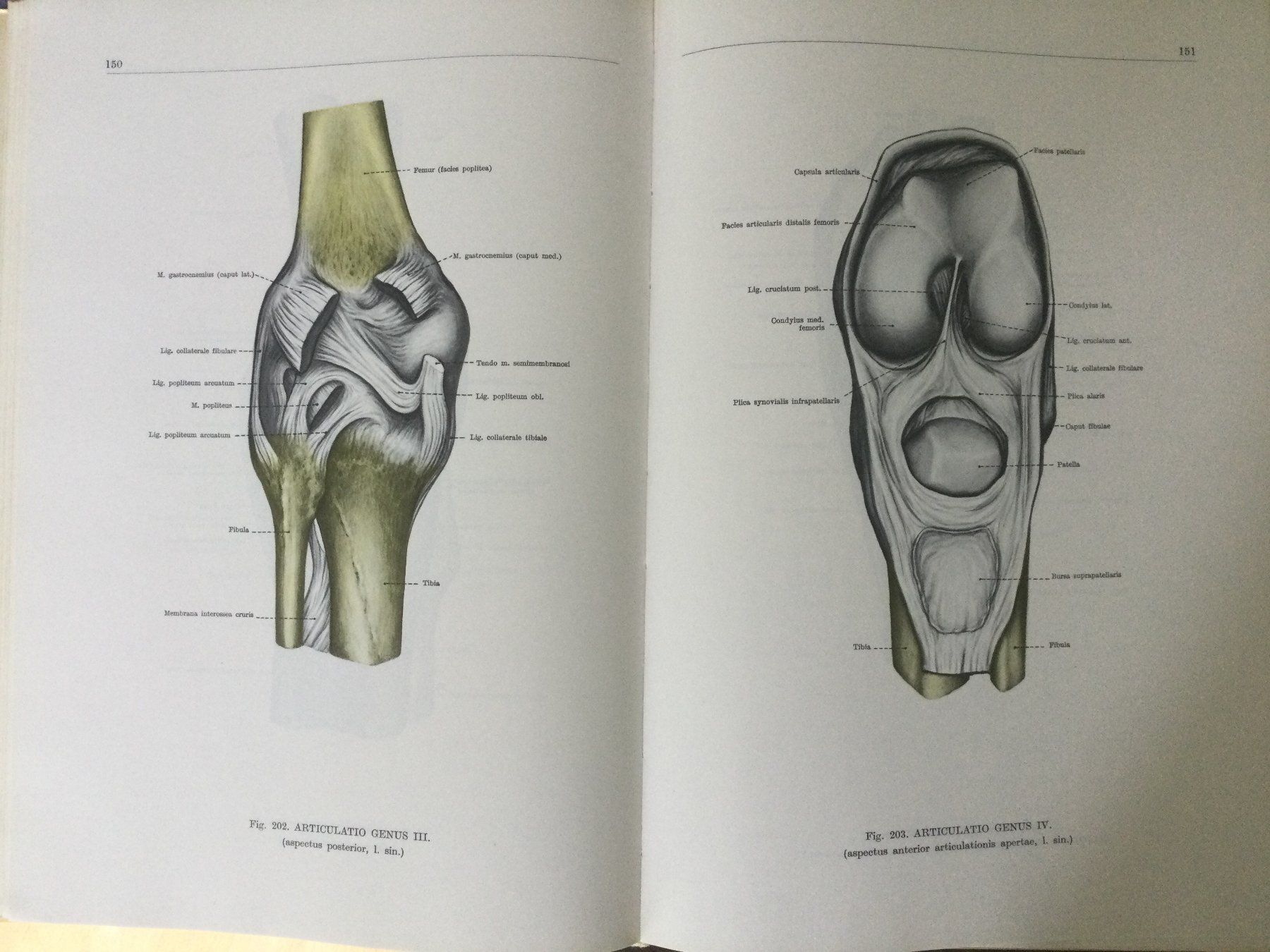Bücher: Anatomischer Atlas des Menschen, 3 Bände – Gebraucht aus St. Gallen von Lila_238 7