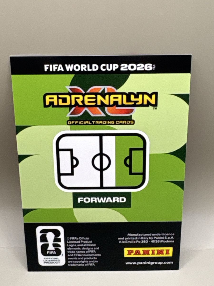 Panini Carte collezionabili: Panini Adrenalyn XL - 357 – Nuovo (secondo la descrizione) da Oberbuchsiten venduto da Bananefrappe93 1