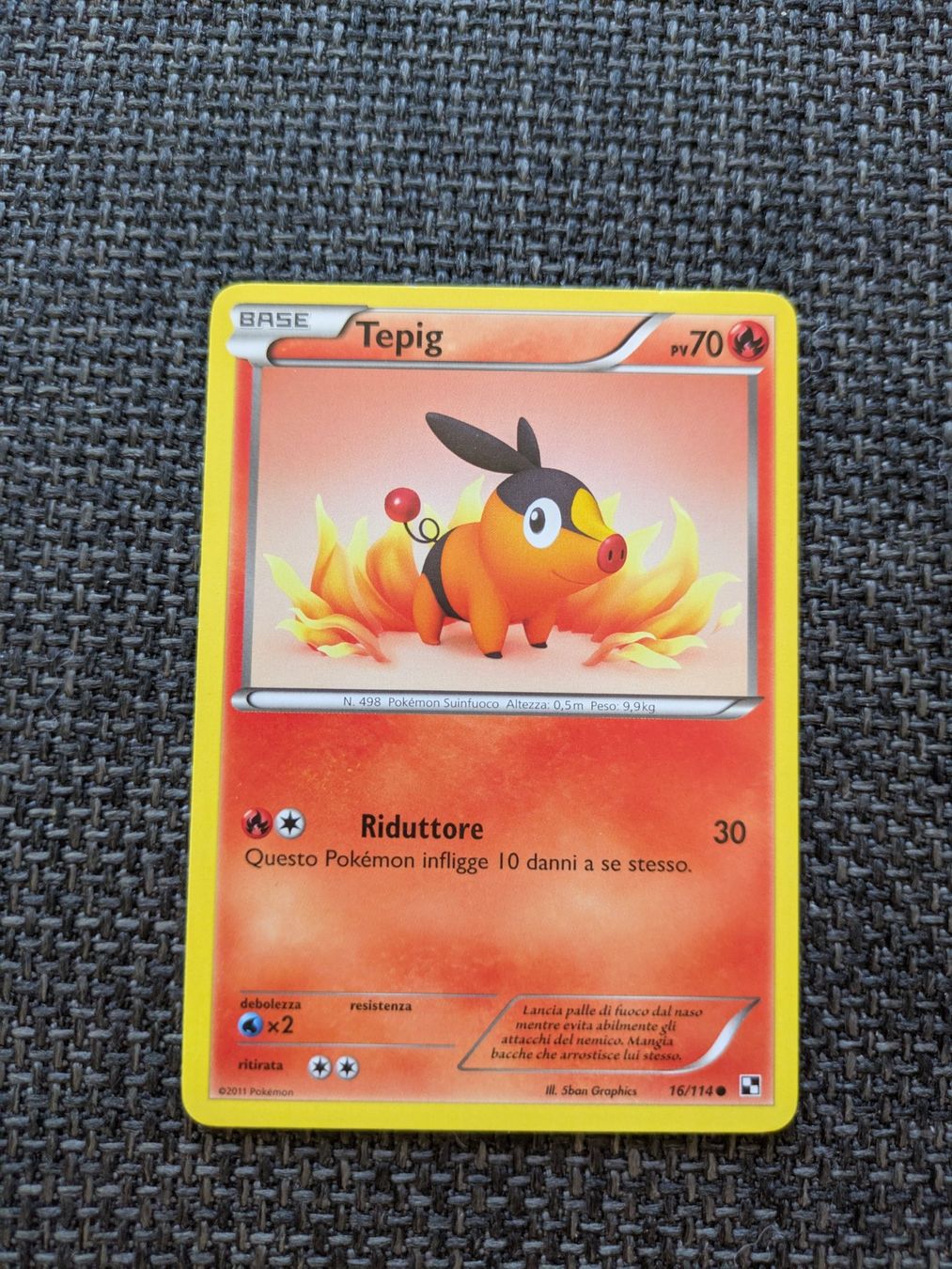 Pokémon Carte collezionabili: TEPIG, BLACK & WHITE, BLW16, COM, 2011, ITA, GD – Usato da Losone venduto da AlpineLayer