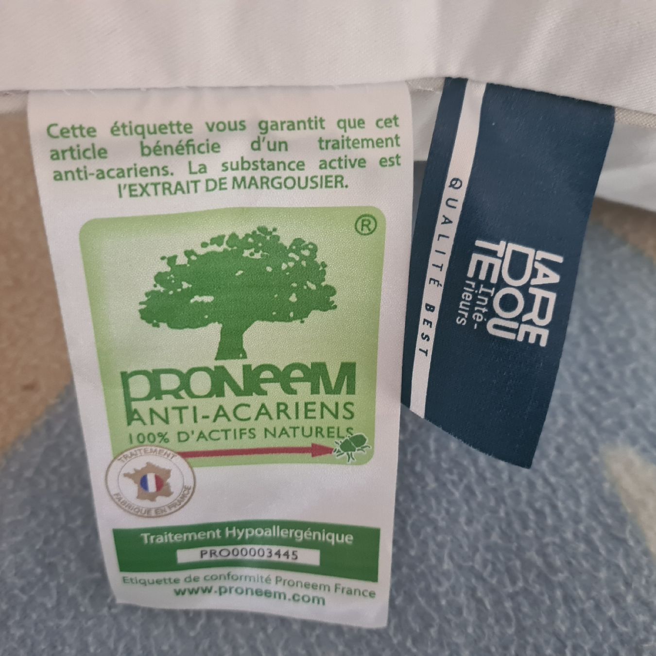 Cuscini: Kopfkissen 60x60 cm – Usato da Steinen venduto da turbogeiss99 2