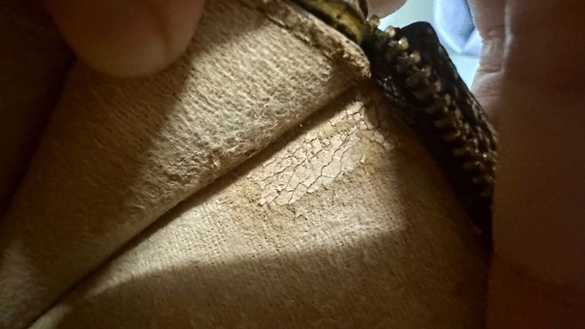 Louis Vuitton Sacs femmes: Louis Vuitton toiletry pouch gm  – D'occasion à Widnau par Pukpan_99 9