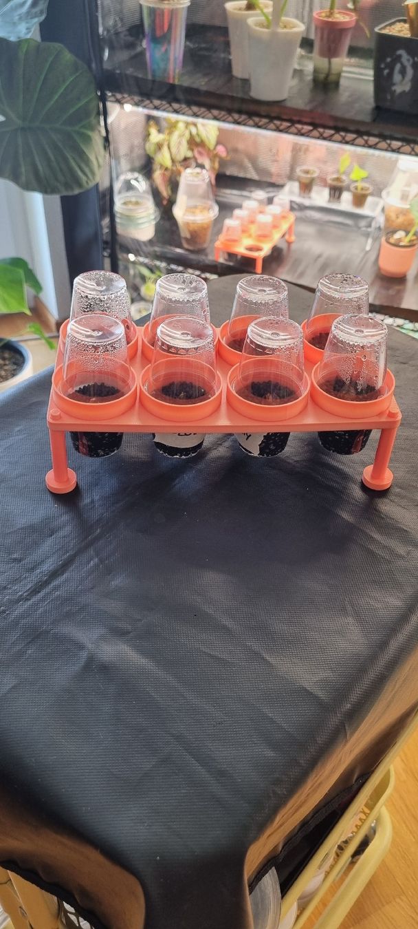Pflanzen & Samen: 🌱 Modulare 3D-Anzuchtstation / Propagations-Set – Neu und originalverpackt aus Wallenwil von LadyLeaf_Ellis1