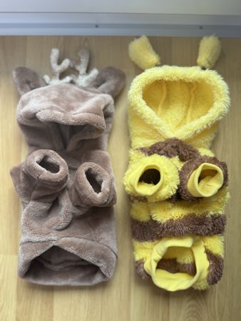 Zwei lustige Kostüme für kleine Hunde