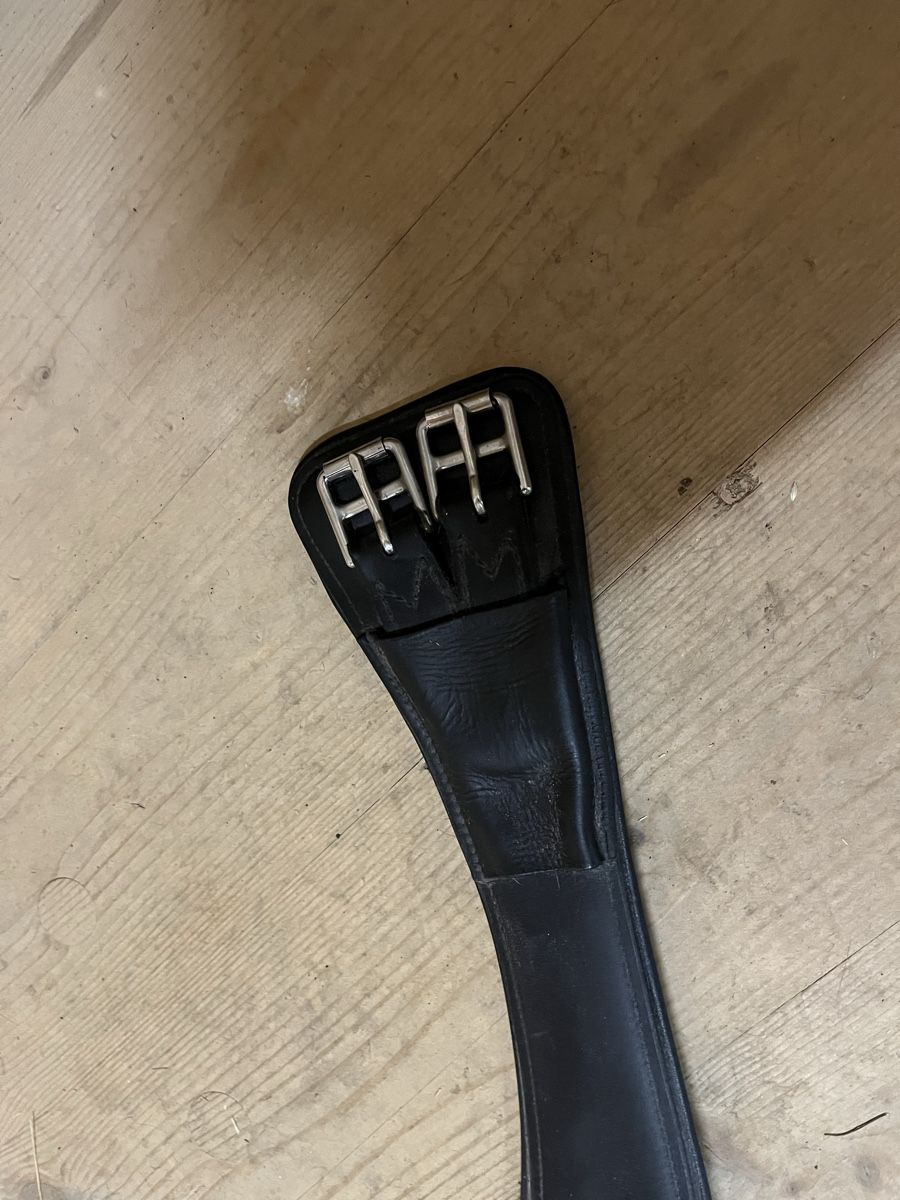 Selle & Accessori: Sattelgurte – Usato da Oberbüren venduto da Pat761 2