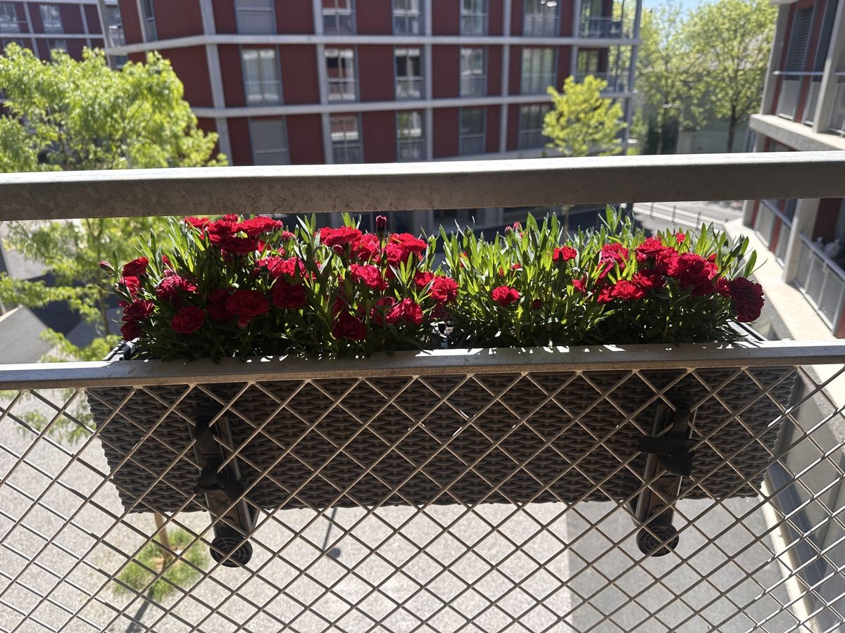 Lechuza Vasi per fiori: Lechuza Balconera Cottage – Nuovo (secondo la descrizione) da Biel/Bienne venduto da Blueflug 1