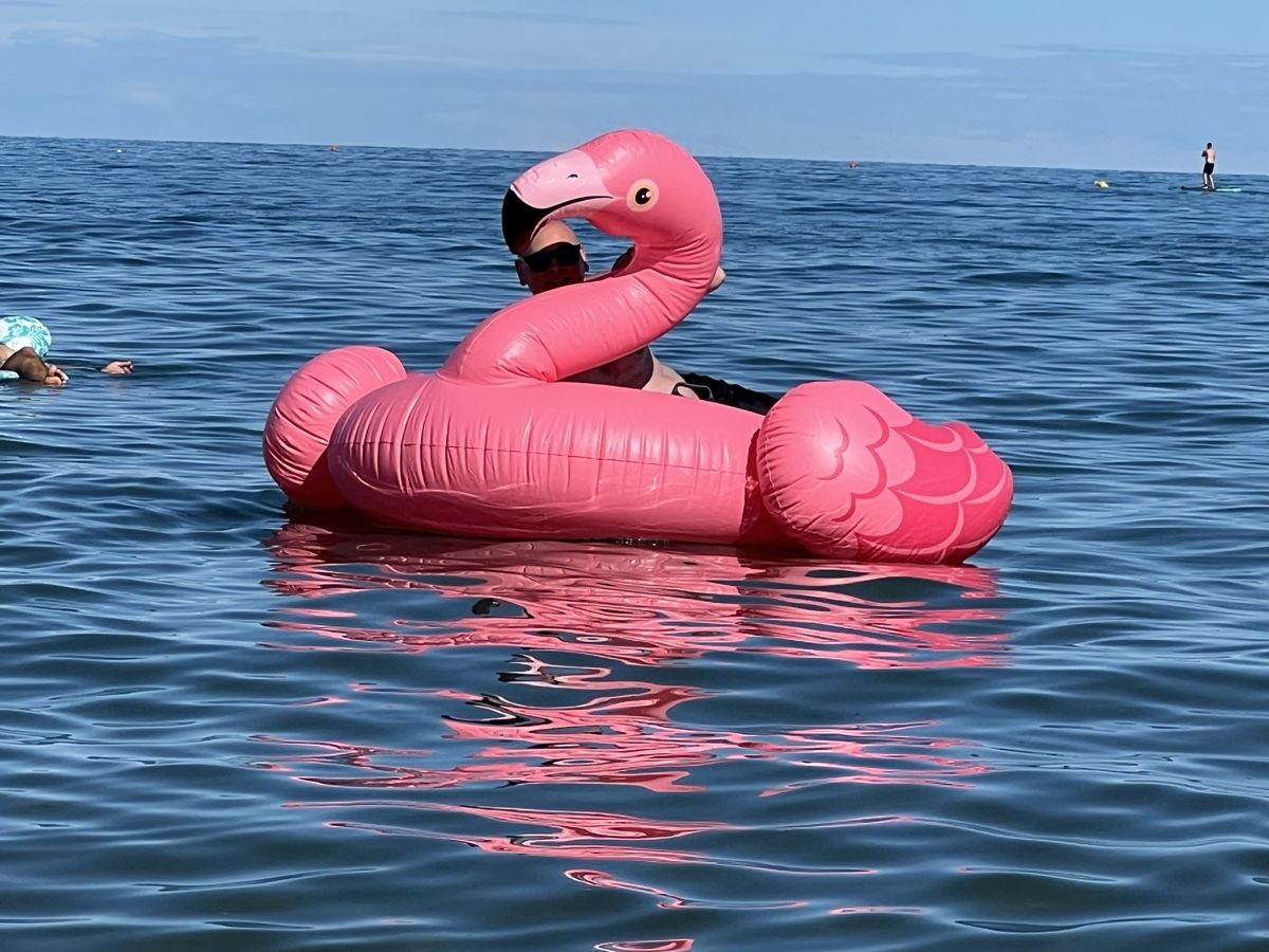 Salvagente: Flamingo  – Usato da Gommiswald venduto da tho_l9zt 1