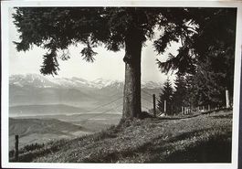 HINWIL WERNETSHAUSEN Bachtel-Kulm