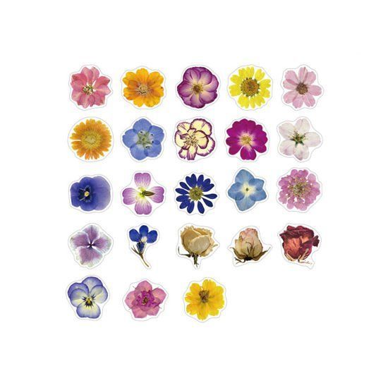 40 Stickers Blume (908) (Neu und originalverpackt) in Blatten b. Naters ...