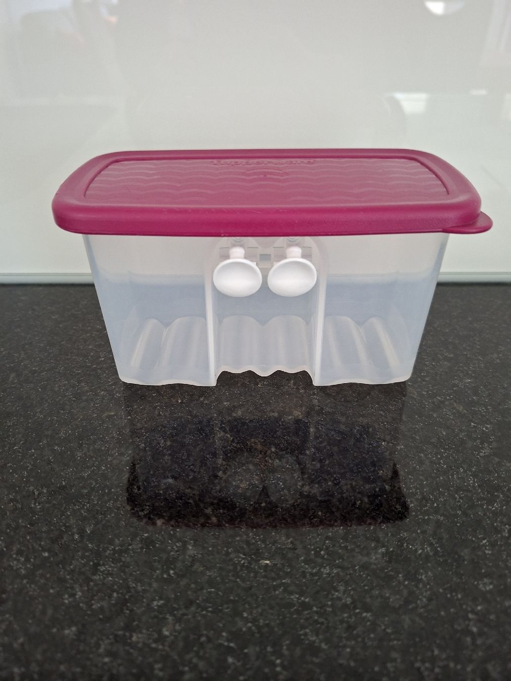 Tupperware Contenitori & Simili: Tuperware – Usato da Büron venduto da rog_k687