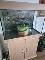 Aquarium 120L mit Schrank und Filter
