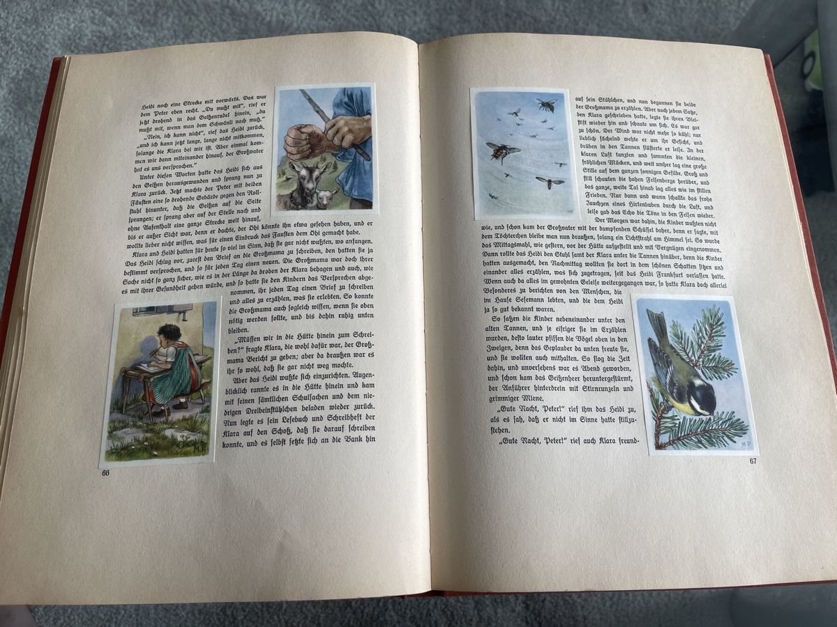 Libri: Heidi Buch mit Illustrationen – Usato da Unterkulm venduto da AnoliOccasion 1