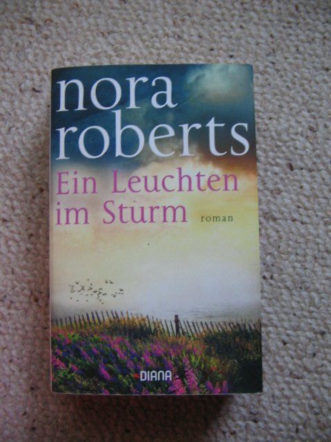 Libri: Ein Leuchten im Sturm Nora Roberts – Usato da Reitnau venduto da Bab0