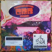 CRB-Chris Robinson Brotherhood–Phosphorescent Harvest / DLP+