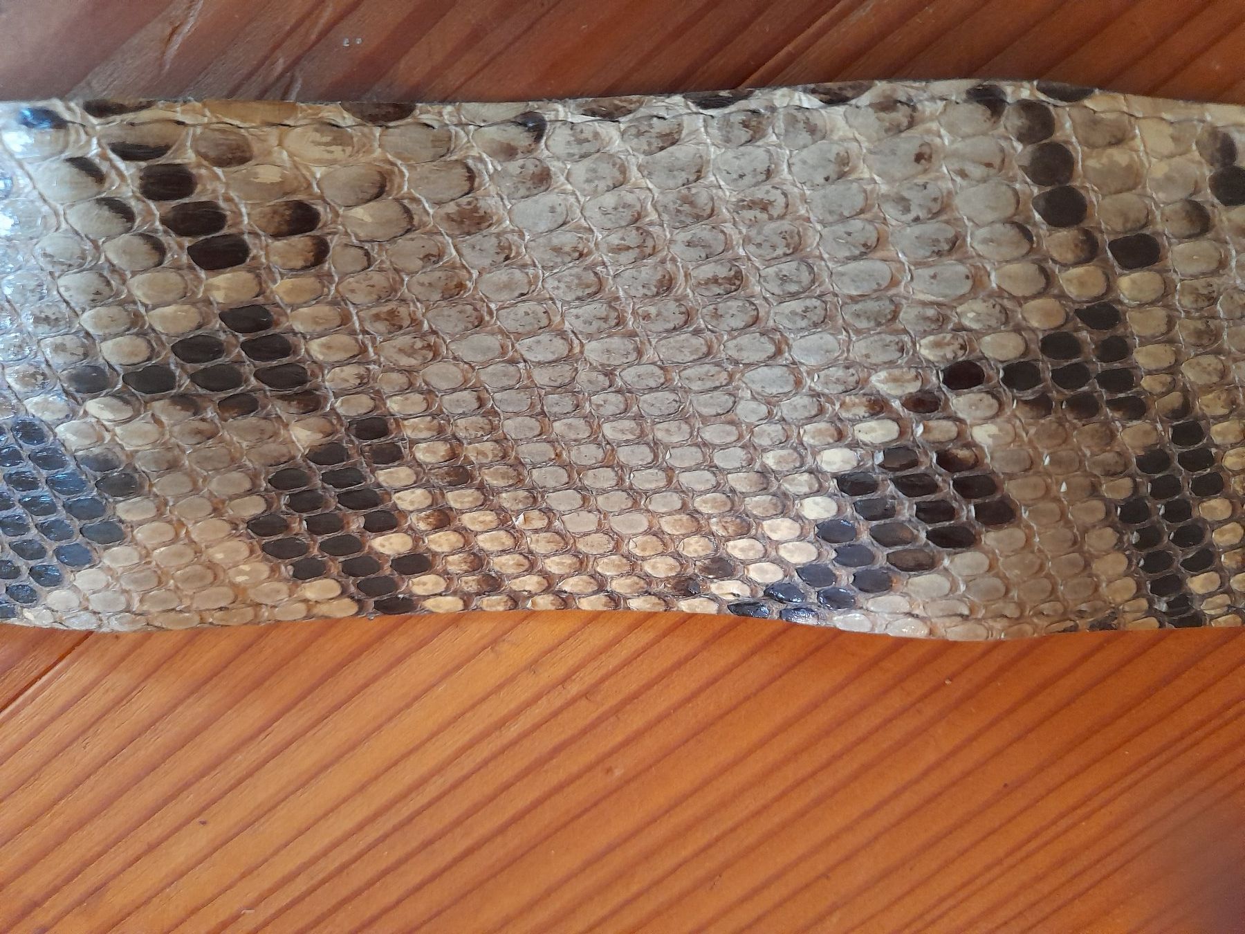 Cinture: echter Schlangen Ledergurt . schöne Musterung . – Usato da Leuggelbach venduto da schmetterlings-fee 1