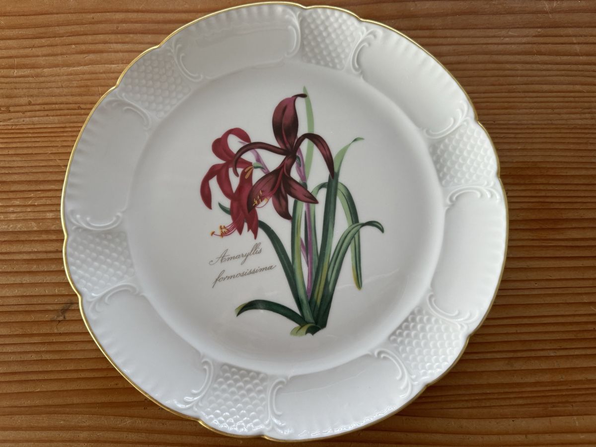 Teller: Sammelteller Amaryllis, Limitierte Auflage 1984 – Gebraucht aus Lanzenhäusern von Galaa