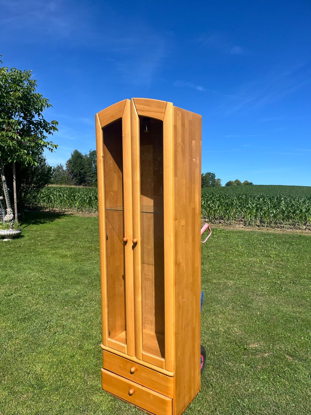 Vetrine: Vitrine 2 Türig mit Lampe ohne Kabel – Usato da Allmendingen b. BE venduto da juair 3