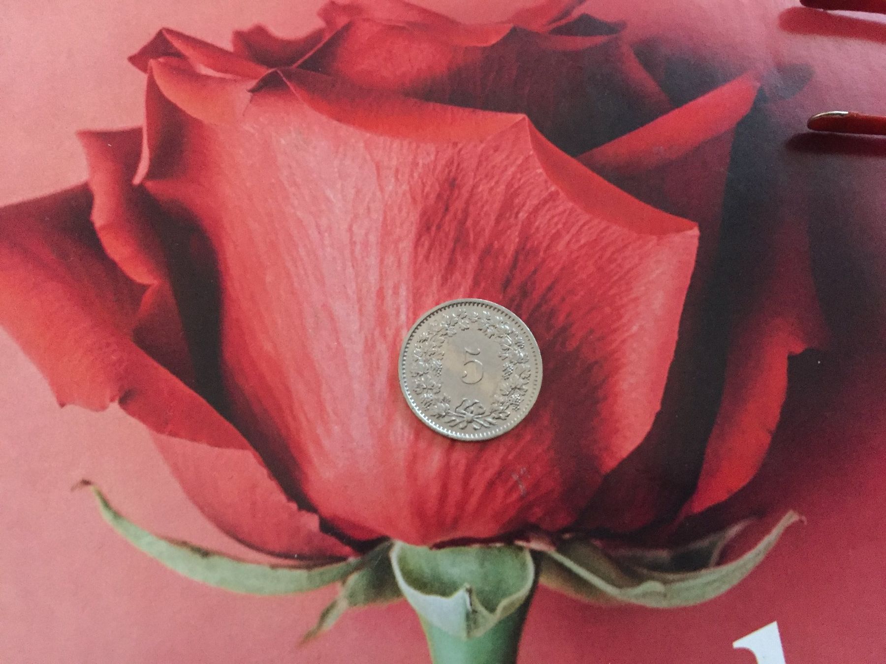 Tutti le monete: 5 Rappen 1974 ss-vz – Usato da Elsau venduto da herbybay 2