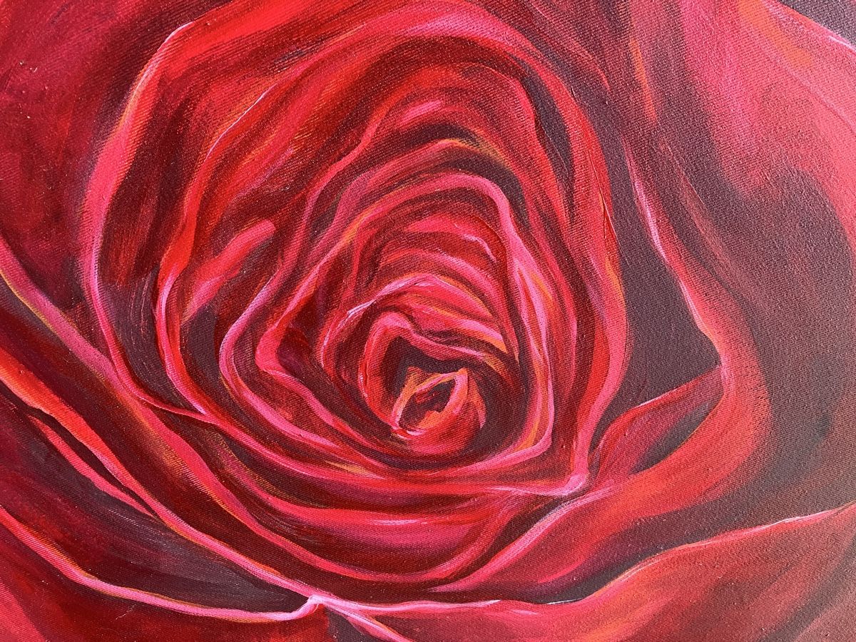 Dipinti: Rote Rose von Cletiu Radu - Clear – Usato da Hindelbank venduto da Scroki 4