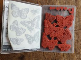 Stampin up! Stempelset "Butterfly Brilliance" und Stanzforme