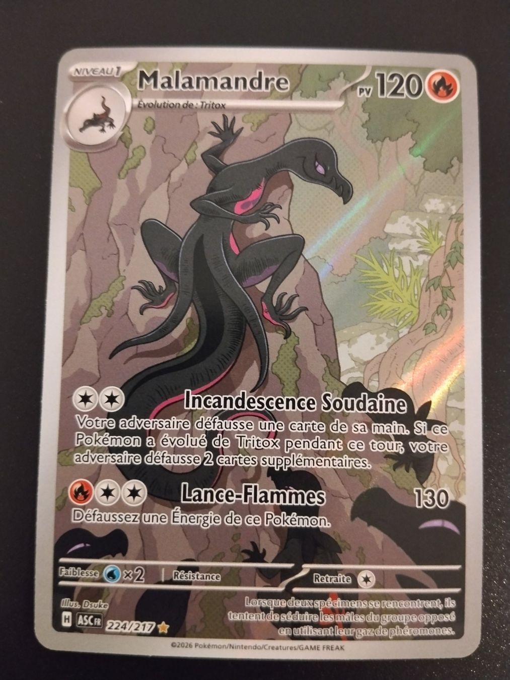Pokémon Carte collezionabili: Pokémon Héros Transcendants: Malamandre 224/217 FR – Usato da Palézieux-Village venduto da oufoux08