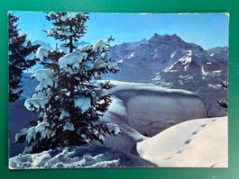 Paysage d'hiver dans les Alpes vaudoises