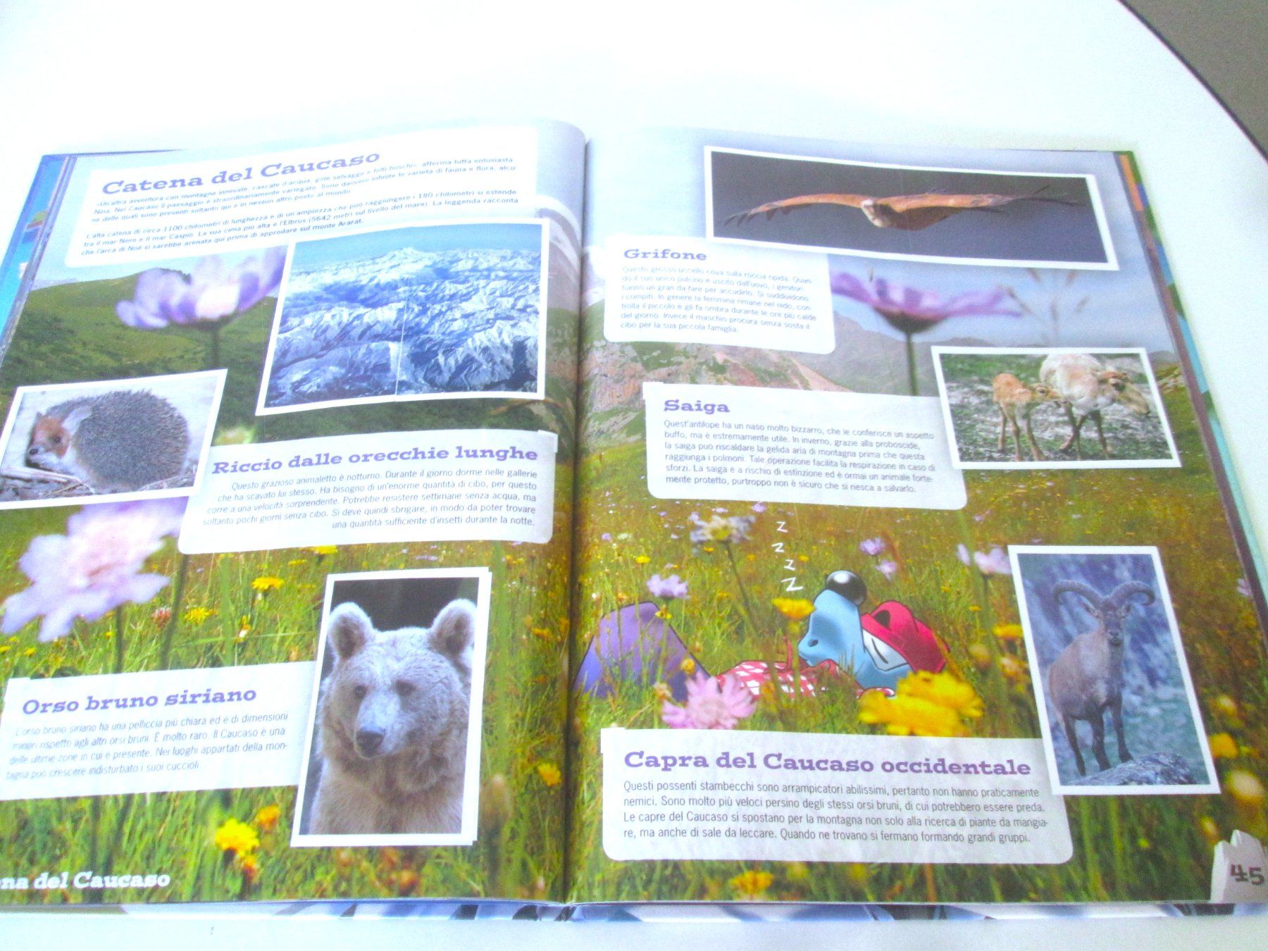 Migros Album: Stickeralbum Mountain Mania – Usato da Sementina venduto da babucia 2