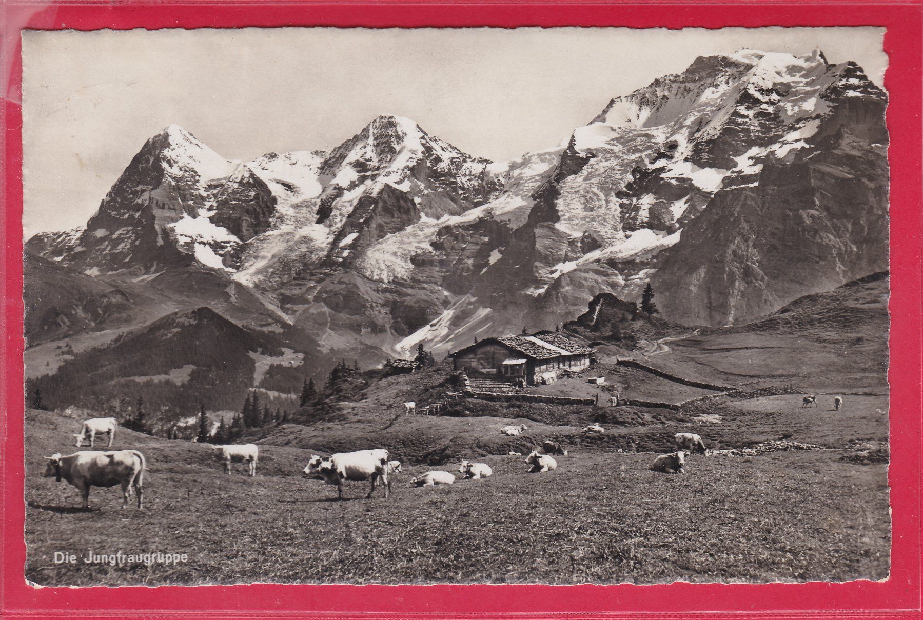 Cartoline postali: DIE JUNGFRAUGRUPPE, 17.8.1945 – Usato da Oberrieden venduto da Gebirgsstelze