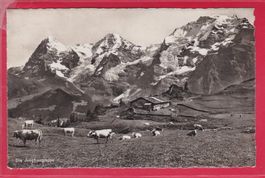 DIE JUNGFRAUGRUPPE, 17.8.1945