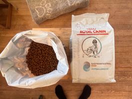 Hundefutter (trocken)